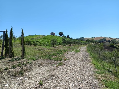 Foto Rustico a Petritoli di 320 m² con 8 locali in vendita