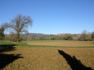 Foto Rustico in Marsciano, Marsciano di 400 m² con 12 locali in vendita