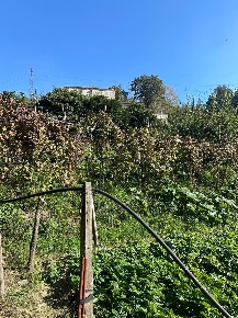 Foto Rustico in via Cupa Vicinale Cinthia, Napoli Scampia di 200 m²
