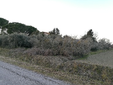 Foto Rustico in CASOTTO DEI PESCATORI, Grosseto Stazione - Via Roma
