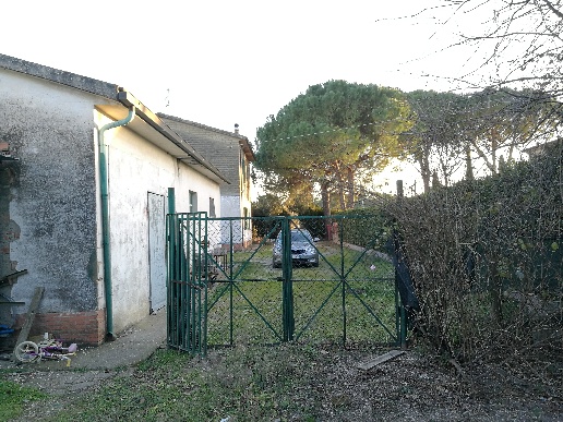 immagine annuncio 2 di 8