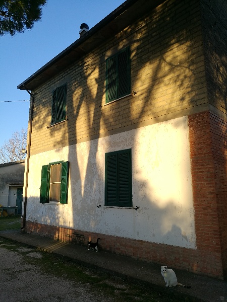 immagine annuncio 5 di 8