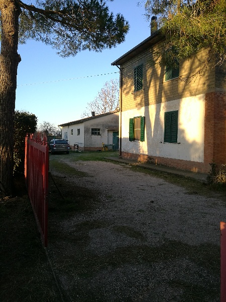 immagine annuncio 6 di 8