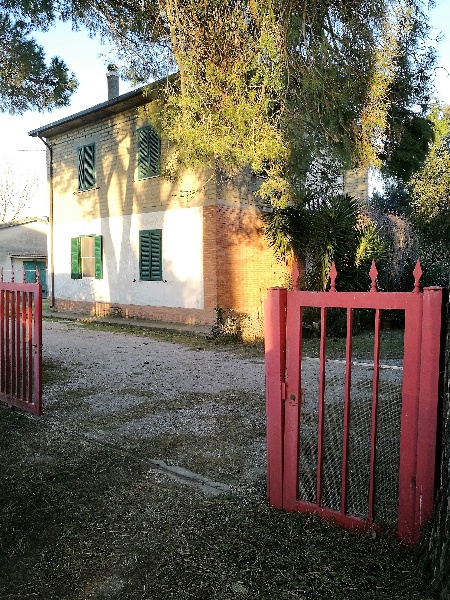 immagine annuncio 7 di 8