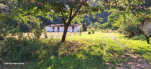 Foto Rustico in Frazione Sessant 312, Asti Sessant - San Grato di 1000 m²