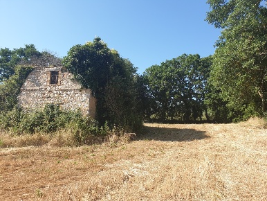 Foto Rustico in strada di vagli, Lugnano in Teverina di 170 m² con 6 locali