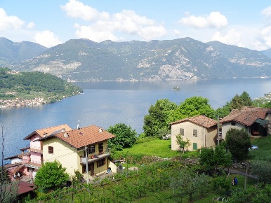 Foto Rustico in Via Dosso, Sale Marasino di 1000 m² in vendita
