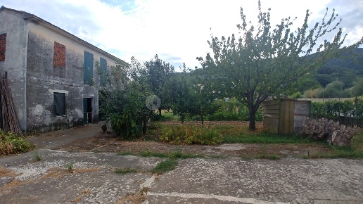 immagine annuncio 1 di 6