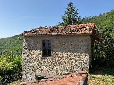 Foto Rustico in via case geri e selvapiana, Pistoia San Felice di 300 m²