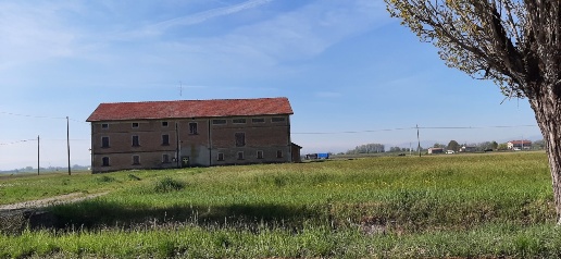 Foto Rustico a Cadelbosco di Sopra Centro di 1000 m² con 12 locali