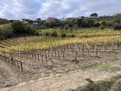 Foto Rustico a Montepulciano in vendita