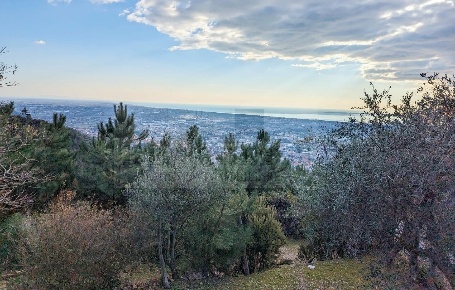 Foto Rustico in Via Capezzano 33, Pietrasanta di 390 m² con 21 locali