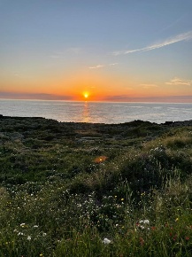 Foto Rustico in Strada Perimetrale dietro Isola, Pantelleria di 90 m²