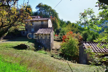 Foto Rustico in Loc. Pegogna, Pescaglia Centro di 540 m² con 12 locali