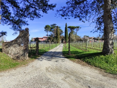 Foto Rustico in Via Isonzo 21, Tricesimo di 1200 m² con 1 locali in vendita