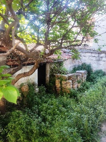 Foto Rustico in Vico Aurelio Saffi 4, Sammichele di Bari di 100 m²