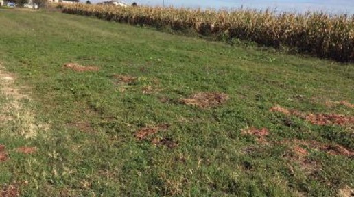 Foto Terreno edificabile a Villata di 1120 m² in vendita