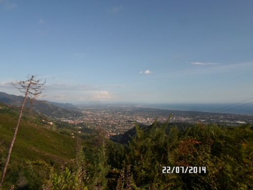 immagine annuncio 3 di 4