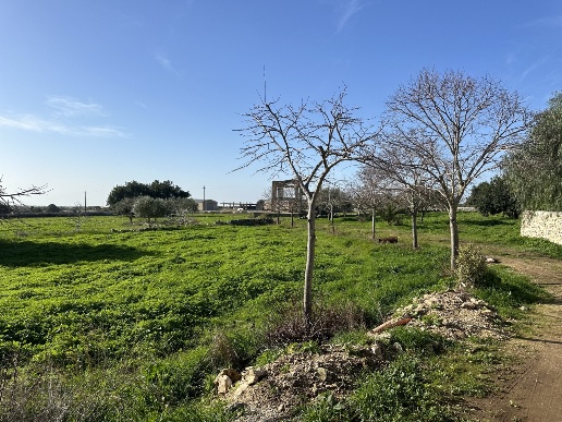 immagine annuncio 4 di 7