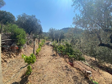 Foto Rustico in Via del Campone 68A, Monte Argentario Porto Santo Stefano