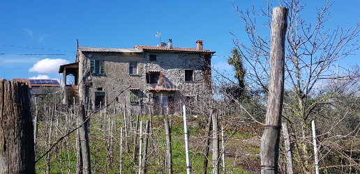 Foto Rustico a Vezzano Ligure Centro di 30 m² con 2 locali in vendita