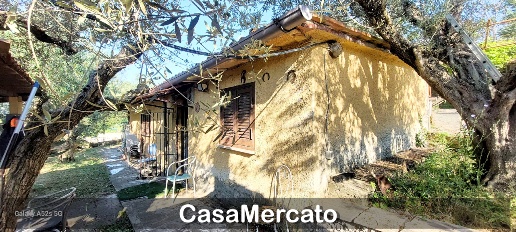 Foto Rustico in Via del Tuscolo, Grottaferrata Centro di 25 m² con 1 locali