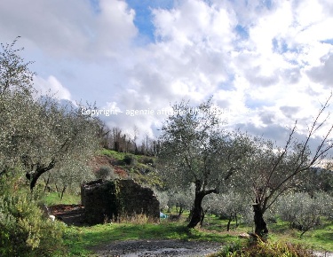 Foto Rustico a Santo Stefano di Magra Centro di 70 m² con 4 locali