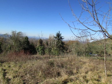 Foto Rustico a Massa Martana di 40 m² con 1 locali in vendita