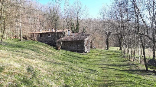 immagine annuncio 9 di 13
