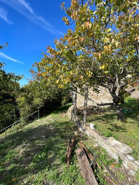 immagine annuncio 4 di 8