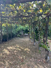 Foto Rustico a Ameglia Monte Marcello di 20 m² con 1 locali in vendita