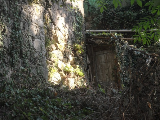 immagine annuncio 4 di 7