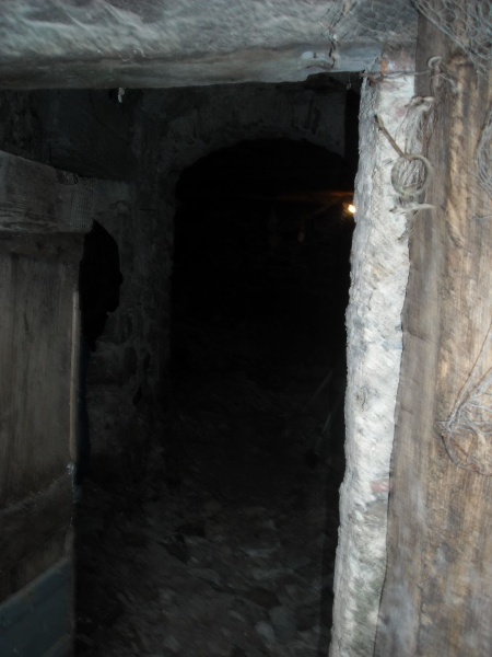 immagine annuncio 6 di 7