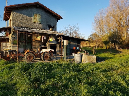 immagine annuncio 1 di 7