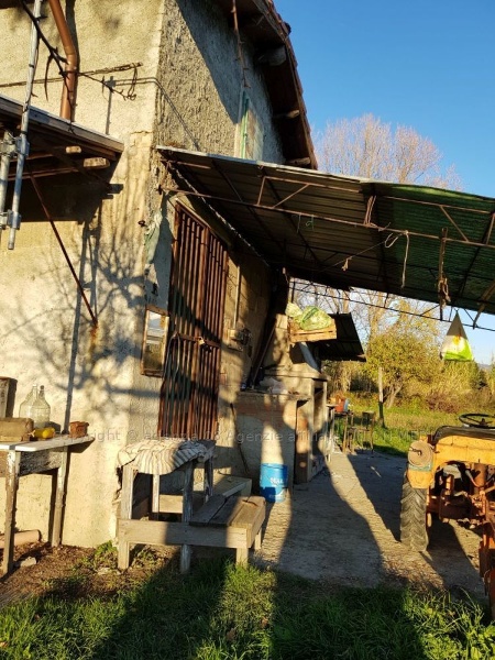 immagine annuncio 5 di 7