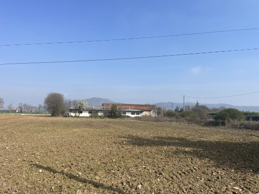 immagine annuncio 9 di 12