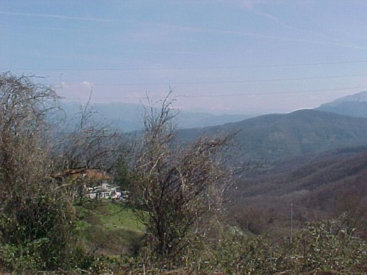 immagine annuncio 2 di 3