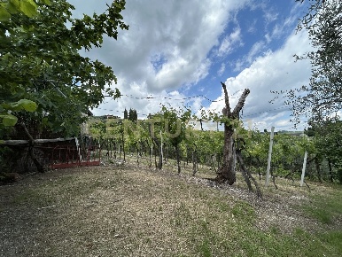 Foto Rustico in Via Postuman, Mezzane di Sotto di 66 m² con 2 locali