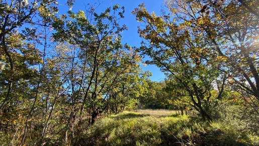 Foto Rustico in Loc Ormei, Ponzone di 50 m² con 2 locali in vendita
