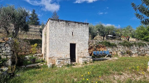 immagine annuncio 3 di 12