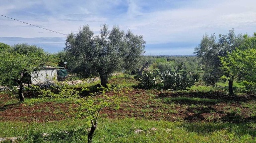 immagine annuncio 11 di 12