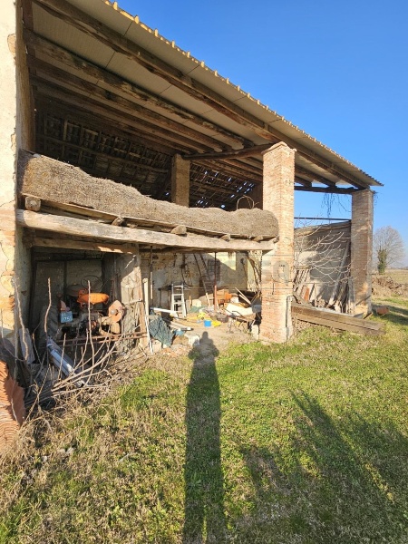 immagine annuncio 2 di 8