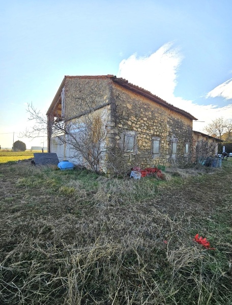 immagine annuncio 6 di 8