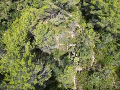 Foto Rustico in Via Case Gina 1, Ventimiglia Grimaldi, Mortola di 39 m²