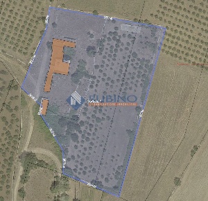 Foto Rustico in Contrada Sanvignano, Andria Montegrosso - Boschetto