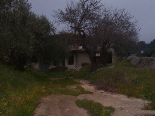 immagine annuncio 7 di 8