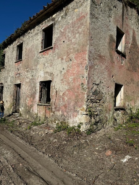immagine annuncio 2 di 12