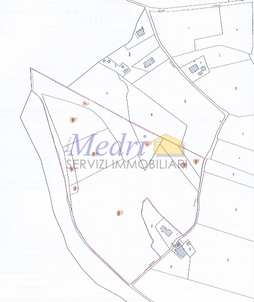 immagine annuncio 1 di 2