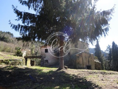 Foto Rustico a Seravezza Caranna di 300 m² con 7 locali in vendita