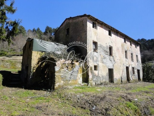 immagine annuncio 2 di 9